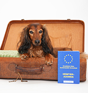 Reisemedizin und Beratung